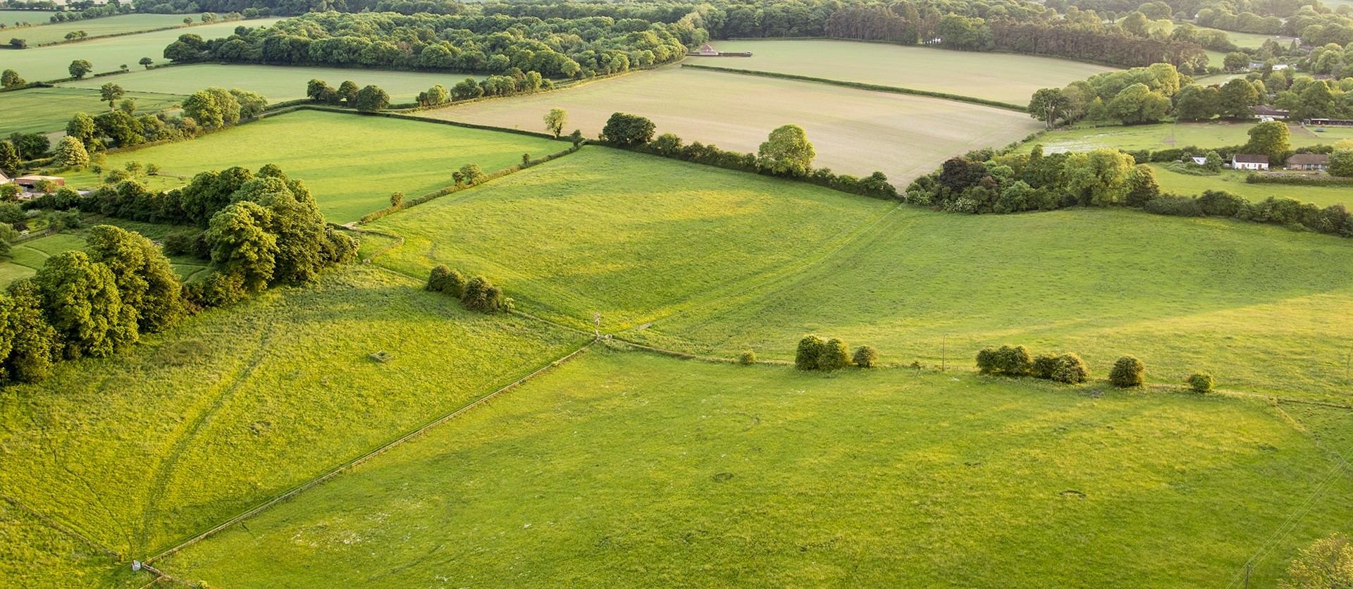 Коммерческая земля